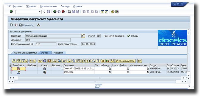 Интерфейс DFS File Service при встраивании в SAP-приложение
